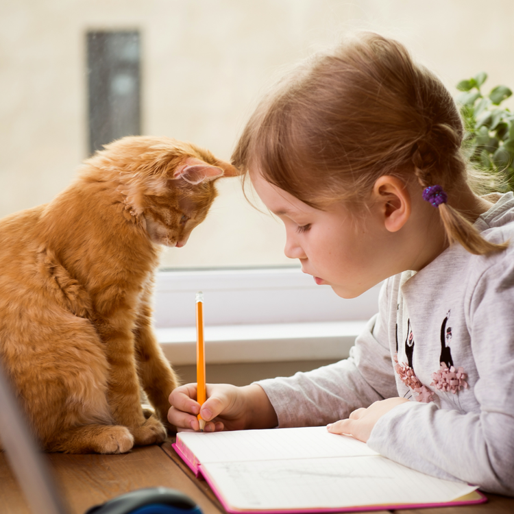 Conseils pour Aider Votre Animal à Surmonter le Blues de la Rentrée