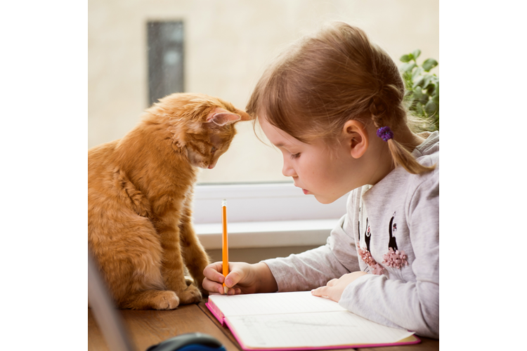 Tips to Help Your Pet Overcome Back-to-School Blues