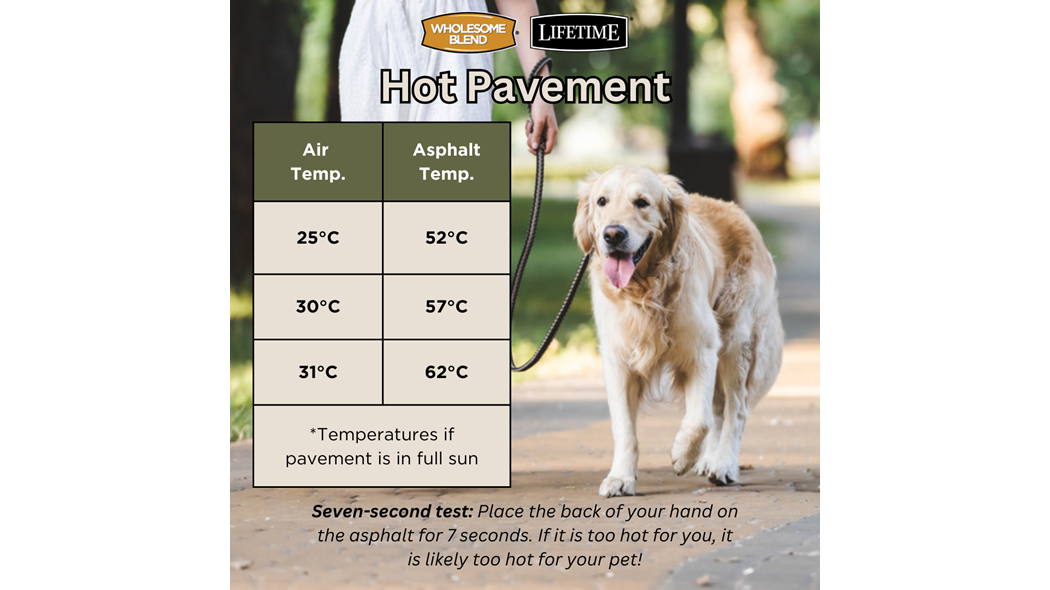Hot Pavement, air temperature vs temperature of pavement