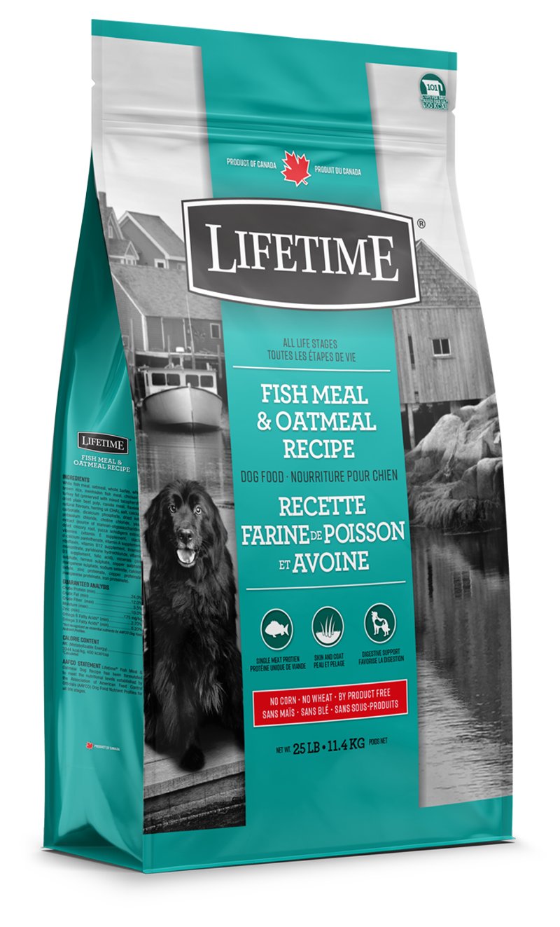 Lifetime puppy deals performance