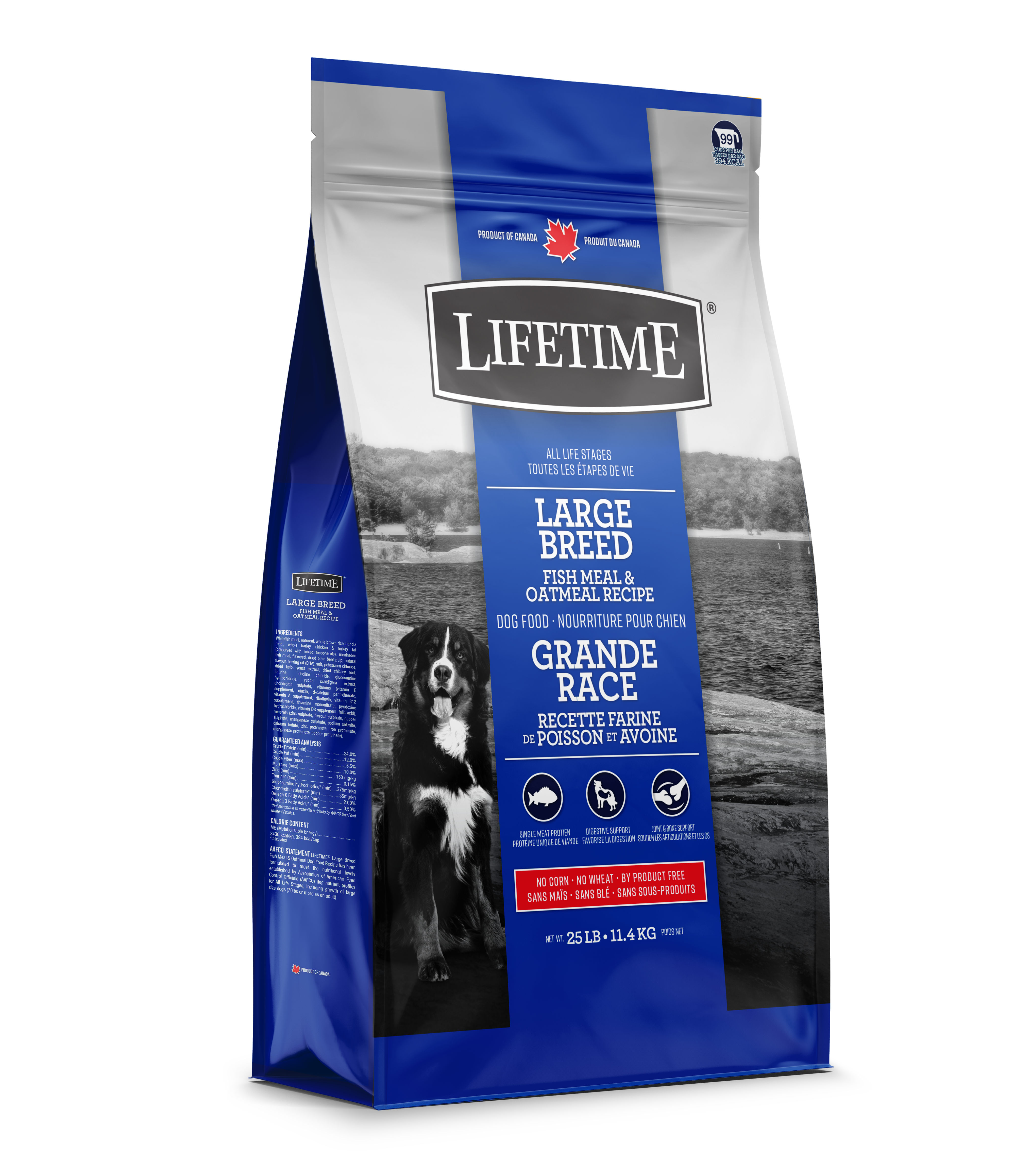 Lifetime Large Breed Fish & Oatmeal - Lifetime Pet