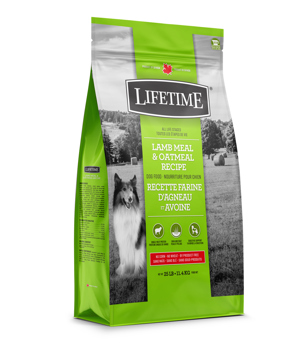 Lamb and deals oatmeal dog food