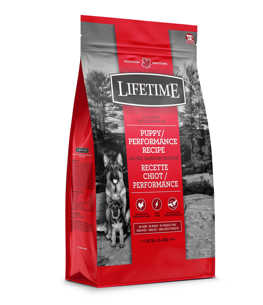 Performance brand online dog food