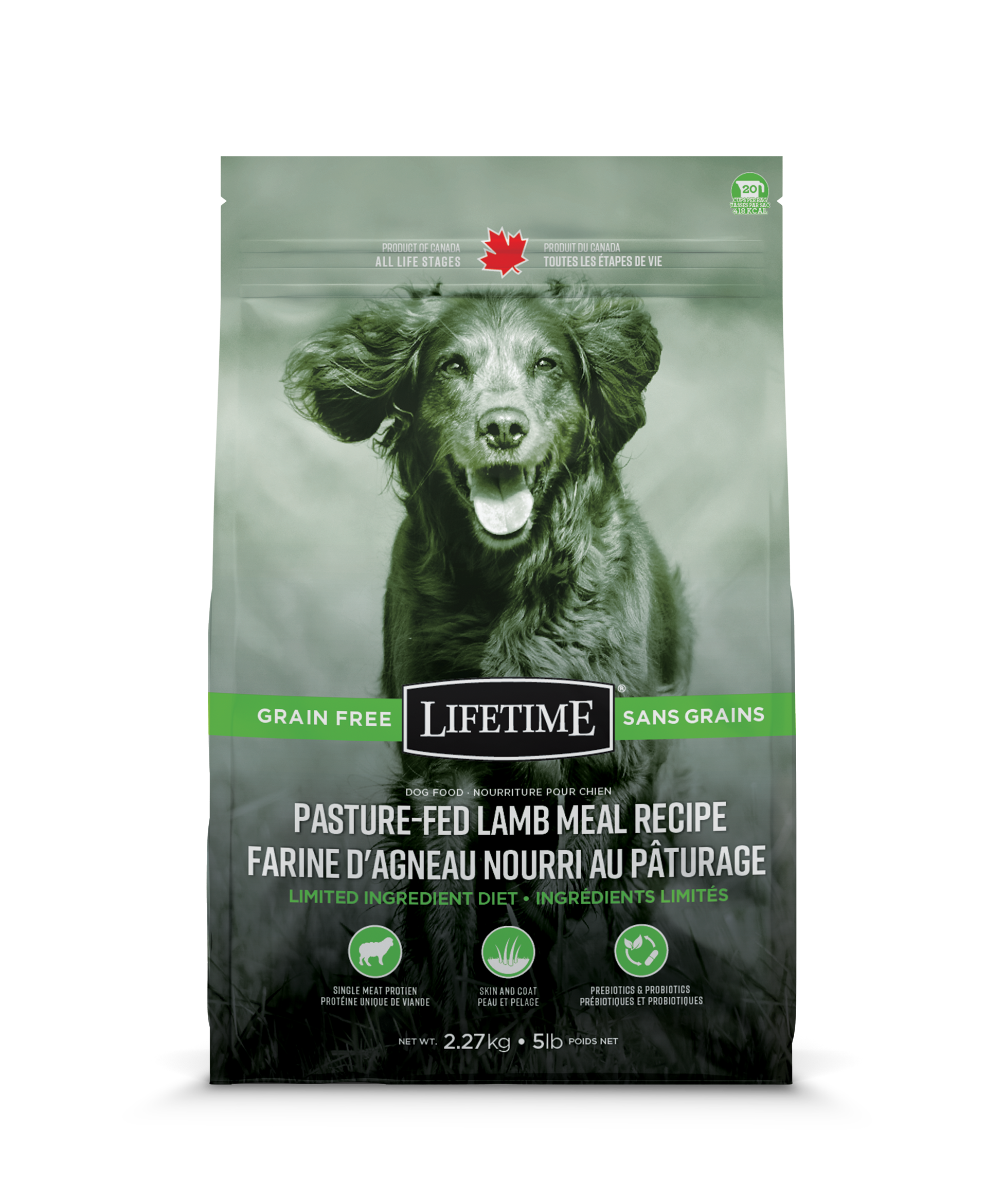 Dog Products Lifetime Pet