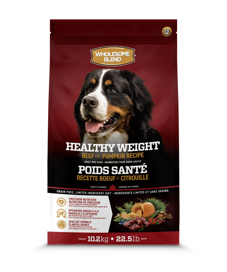 Wholesome Blend Mobility Care Salmon and Pumpkin - Lifetime Pet