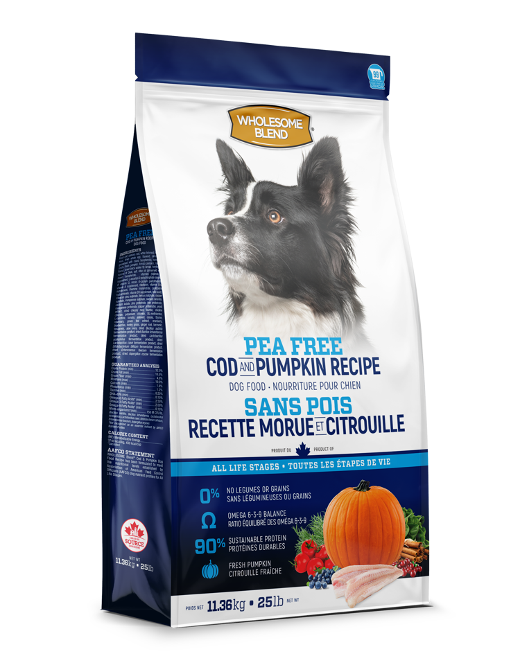 Wholesome Blend Pea Free Large Breed Turkey Pumpkin Lifetime Pet