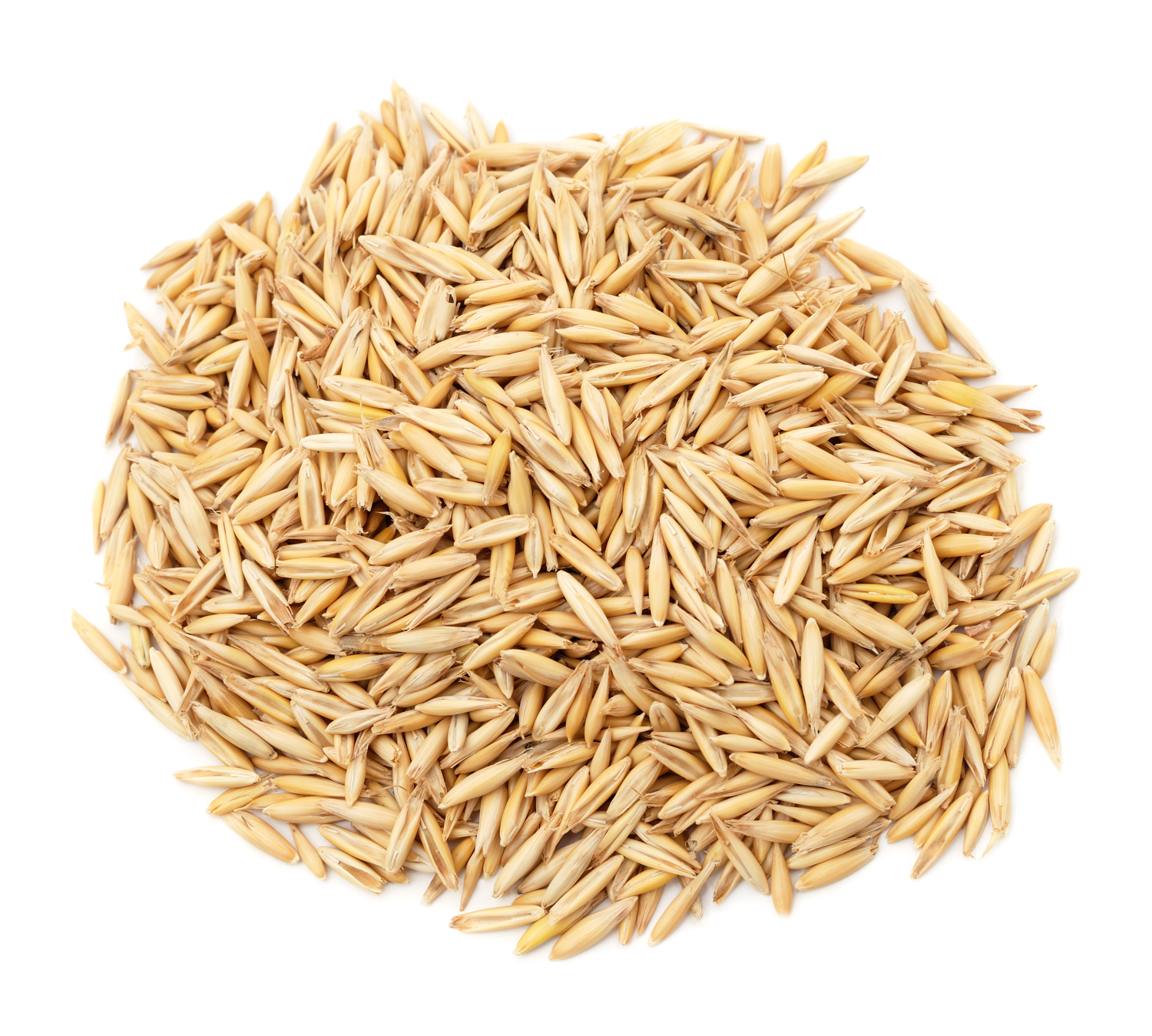Orge, entière (grain ancien, sans OGM