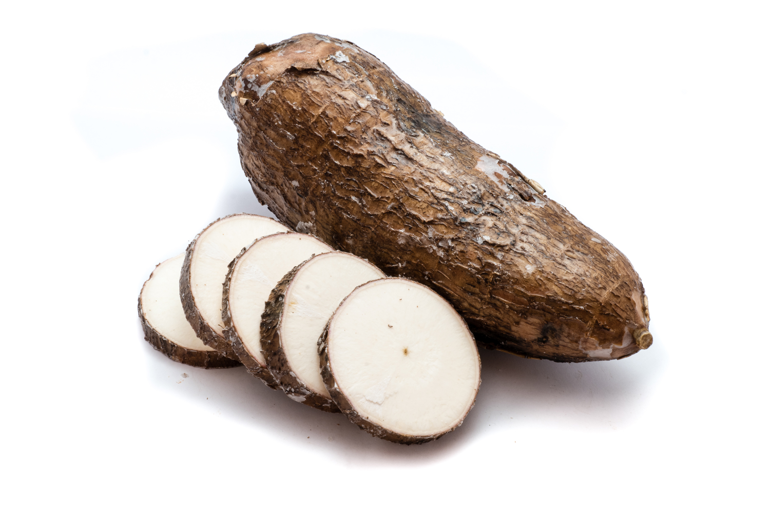 Racine de manioc