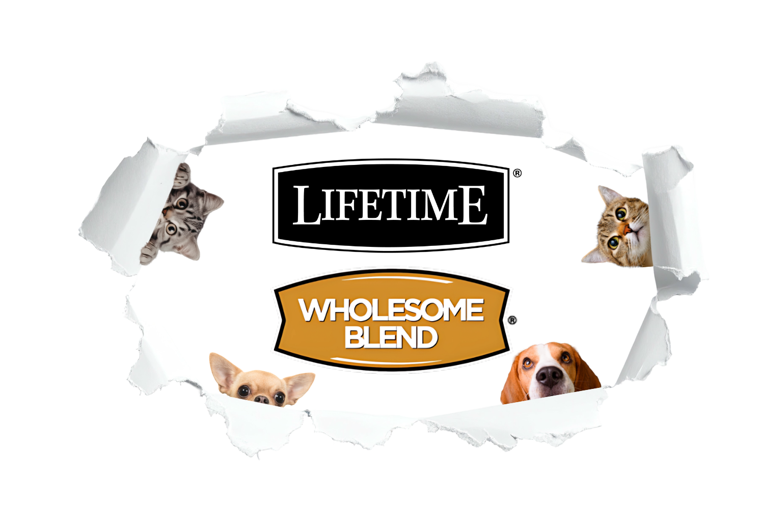 Lifetime and Wholesome Blend logos